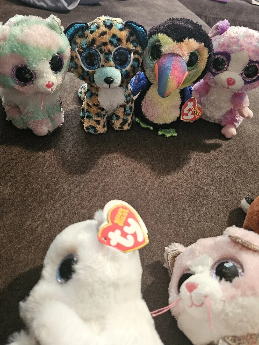 Ty Multicolor Plush Small 6in Pets Collection